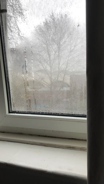 Condensation/mould help