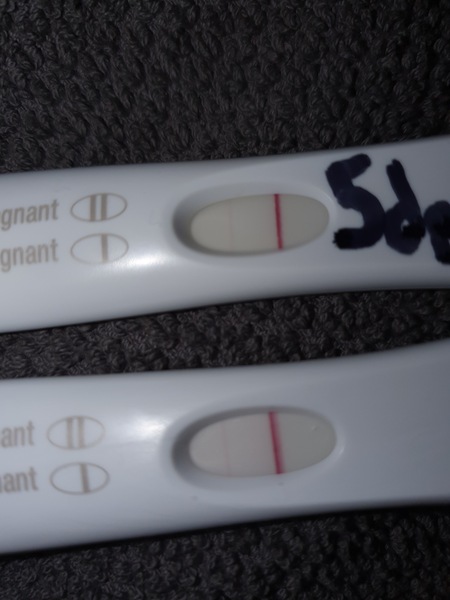 FET November/ December