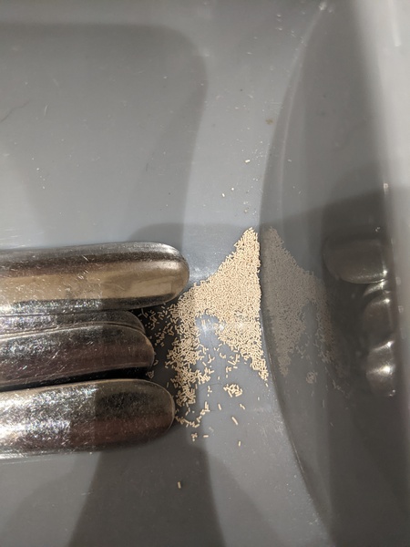 To burn the house down (infestation???)