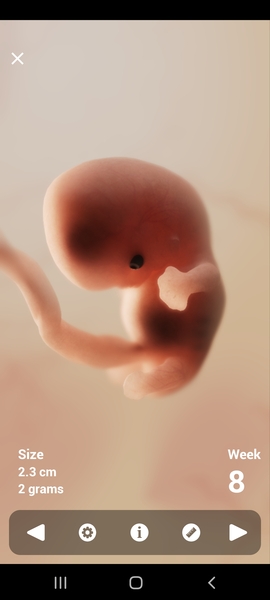 Any ivf pregnancies ?