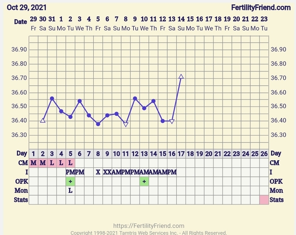 Ovulation/TTC continued