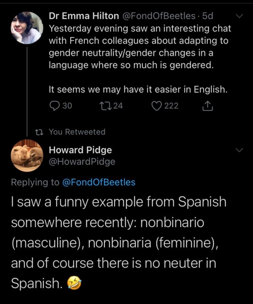 who decides whether French nouns are masculine or feminine?