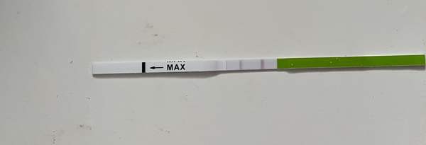 OPK negative or?