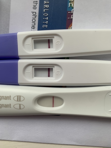 Not sure what to make of tests
