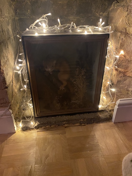 What would you do with an empty fireplace