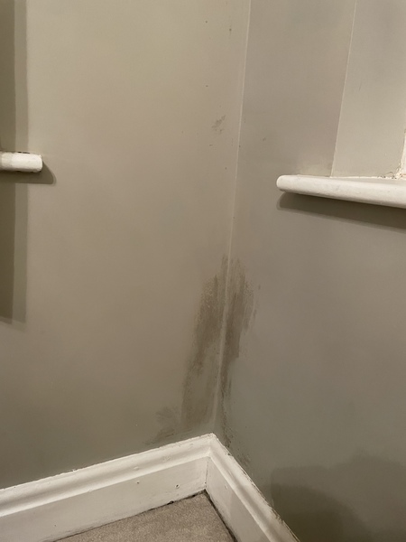 Help! Damp!
