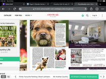 Border terriers!