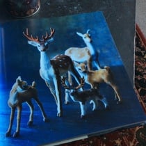 The Christmas Chronicles by Nigel Slater: Read Along Thread 2