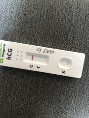 9DPO vvfbfp?