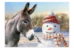Christmas cards.... is it just me?