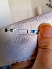 Early bfp?