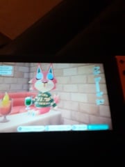 Animal Crossing Seven: where we all drink too many brews