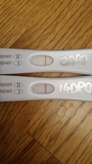 Is this an early BFP on FRER?