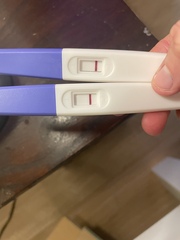 Strip tests