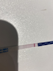 Anyone else ttc #2?