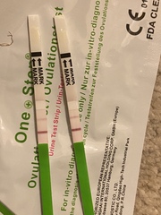 Dtd 1 day before positive OPK could I get pregnant