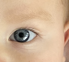 What colour would you say these eyes are?