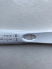 Line? No idea when ovulated!