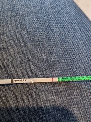 Curious if anyone sees a faint line?