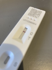 Can anyone see a line ?