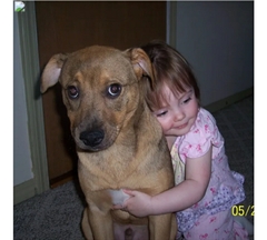 To think learning how to behave around dogs should be part of the national curriculum