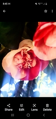 Show Us Your Pictures: 5 Alive