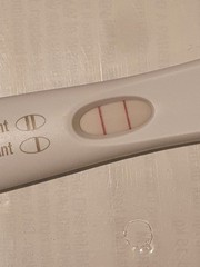 10 dpo and got 2-3 on CB Weeks indicater!