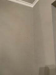Help! Damp!