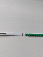 Curious if anyone sees a faint line?