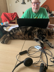 Rescue cat refusing all comforts