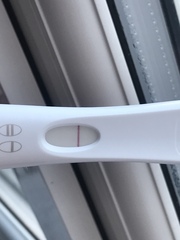 The 2 week wait 🙄