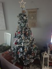 Are you one of this people with a perfect looking Christmas tree?