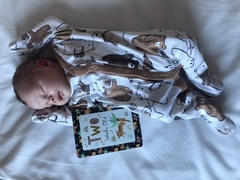 Tracking your cycle and possible BFP using RHR - part 6