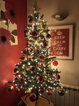 Recommend me a decent tree!