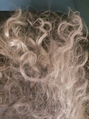 Anyone else want bigger, wavier hair?