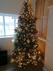 Christmas... I know it's far too early, but..