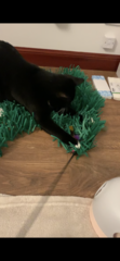 Snuffle mats