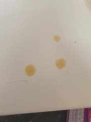 Cat loose poos are doing my head in!