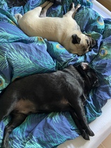 Cancer Support Thread #81 Newbies welcome