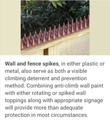 Neighbour seems to think he has the right to jump our fence