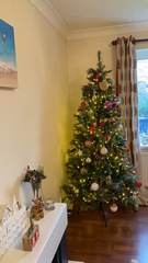 Are you one of this people with a perfect looking Christmas tree?