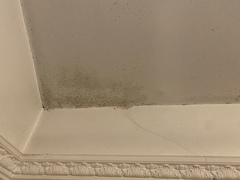 Seen a house I want to offer but cracks …