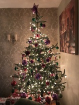 Recommend me a decent tree!