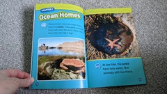 Anyone got kids national geographic reader book that can photo to show if I need  level 1 or 2 for DS ?