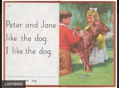 Beagle v cocker spaniel