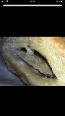 To complain about this. Warning gross food photo