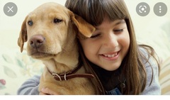 To think learning how to behave around dogs should be part of the national curriculum
