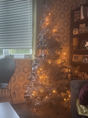 Are you one of this people with a perfect looking Christmas tree?