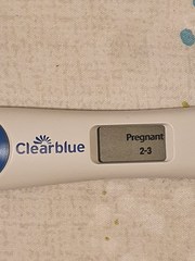 10 dpo and got 2-3 on CB Weeks indicater!