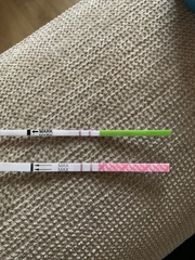 Ovulation Question